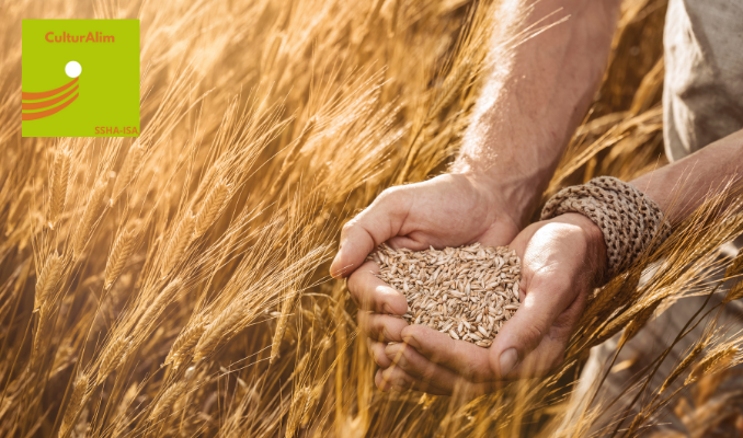 Quelles différences entre les farines T45, T55, T80, complète, 00 et W300 ?  Les différents usages en cuisine - Cuisine Actuelle